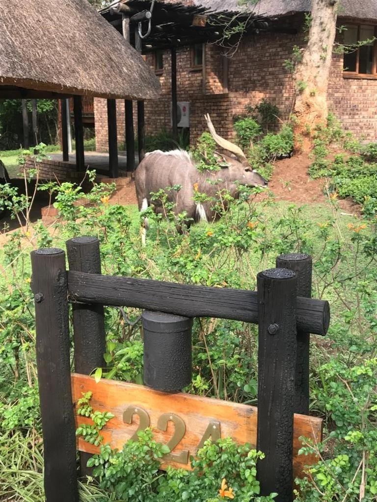 Kruger Park Lodge, Kubu Lodge 224 Hazyview Dış mekan fotoğraf